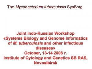 The Mycobacterium tuberculosis Sys Borg Joint IndoRussian Workshop