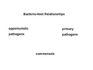 BacteriaHost Relationships opportunistic primary pathogens commensals BacteriaHost Relationships