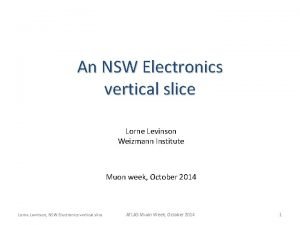 An NSW Electronics vertical slice Lorne Levinson Weizmann