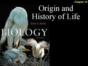 Chapter 19 Origin and History of Life 2