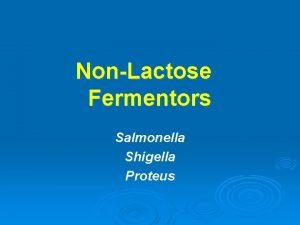 NonLactose Fermentors Salmonella Shigella Proteus Salmonella 1 Salmonella
