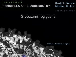 Glycosaminoglycans 2009 W H Freeman and Company Glycosaminoglycans