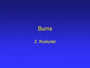 Burns Z Rozkydal Epidermis Dermis blood vessels nerves