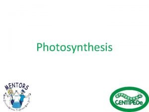 Photosynthesis equation