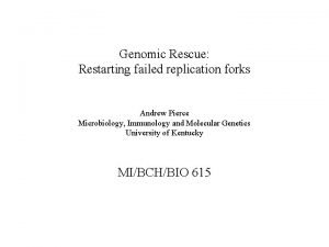 Genomic Rescue Restarting failed replication forks Andrew Pierce