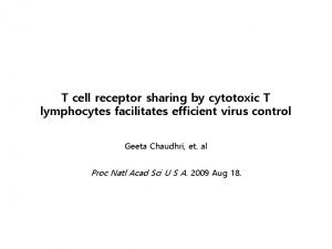 T cell receptor sharing by cytotoxic T lymphocytes