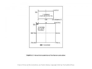 Roman legion subdivision