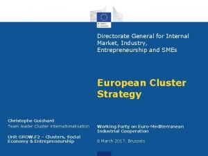 Directorate General for Internal Market Industry Entrepreneurship and