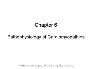Chapter 6 Pathophysiology of Cardiomyopathies 2014 Elsevier Inc