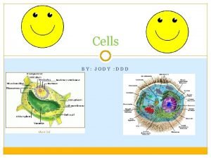 Cells BY JODY DDD Cell Wall Strong stiff