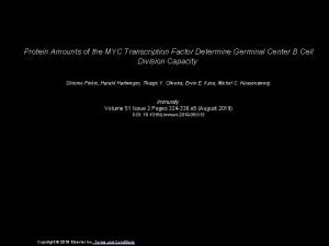 Protein Amounts of the MYC Transcription Factor Determine