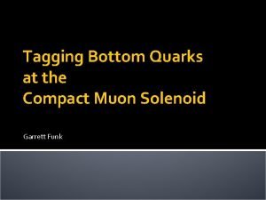 Tagging Bottom Quarks at the Compact Muon Solenoid