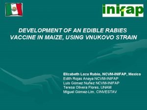 Edible rabies vaccine