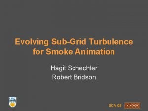 Evolving SubGrid Turbulence for Smoke Animation Hagit Schechter