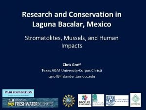 Research and Conservation in Laguna Bacalar Mexico Stromatolites