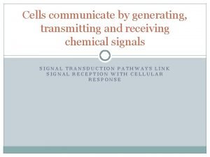 Cells communicate by generating transmitting and receiving chemical