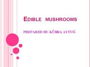 EDIBLE MUSHROOMS PREPARED BYKBRA AYTU Mushrooms do not