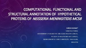 COMPUTATIONAL FUNCTIONAL AND STRUCTURAL ANNOTATION OF HYPOTHETICAL PROTEINS