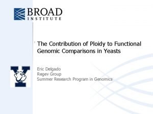 The Contribution of Ploidy to Functional Genomic Comparisons