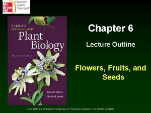 Chapter 6 Lecture Outline Flowers Fruits and Seeds