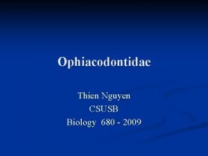 Ophiacodontidae Thien Nguyen CSUSB Biology 680 2009 Introduction
