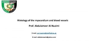 Histology of myocardium Histology of myocardium
