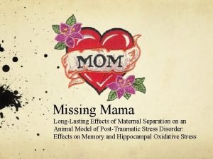 Missing Mama LongLasting Effects of Maternal Separation on