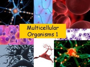 Multicellular Organisms 1 Living Cells revision Cells are