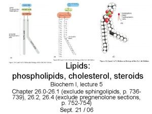 Biochem Biochem