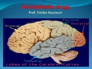 Antiepileptic drugs Prof Yieldez Bassiouni Objectives At the