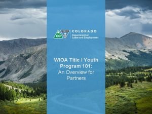 Wioa youth program elements