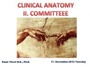 CLINICAL ANATOMY II COMMITTEEE Kaan Ycel M D