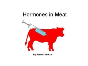 Hormones in Meat By Joseph Vincze hormone hrmn