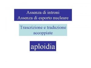 Assenza di introni Assenza di esporto nucleare Trascrizione