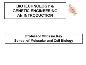 BIOTECHNOLOGY GENETIC ENGINEERING AN INTRODUCTION Professor Chrissie Rey