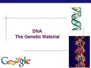 DNA The Genetic Material AP Biology 2006 2007