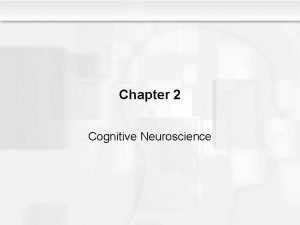 Chapter 2 Cognitive Neuroscience Some Questions to Consider