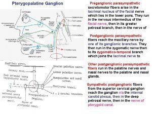 Pterygopalatine Ganglion Preganglionic parasympathetic secretomotor fibers arise in