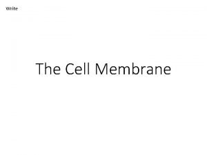 Write The Cell Membrane Listen Cell Membrane The