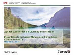 Agency Action Plan on Diversity and Inclusion Presentation