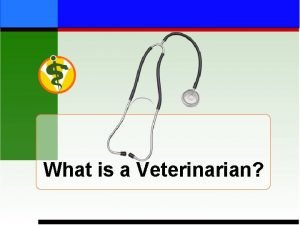 What is a Veterinarian Pets Farm Animals Zoo