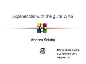 Experiences with the g Lite WMS Andrea Sciab