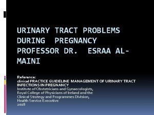 URINARY TRACT PROBLEMS DURING PREGNANCY PROFESSOR DR ESRAA