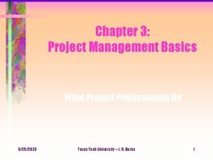 Chapter 3 Project Management Basics What Project Professionals
