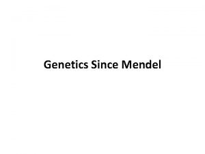 Genetics Since Mendel I Independent Assortment Mendel wondered