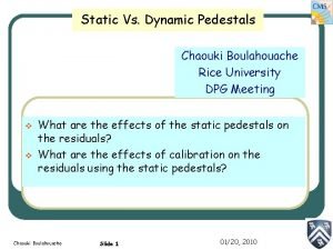 Static Vs Dynamic Pedestals Chaouki Boulahouache Rice University