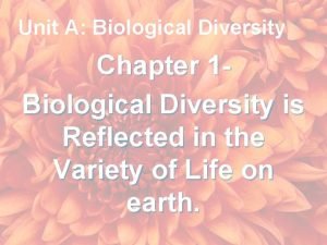 Unit A Biological Diversity Chapter 1 Biological Diversity