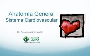 Anatoma General Sistema Cardiovascular Dr Francisco Soto Murillo