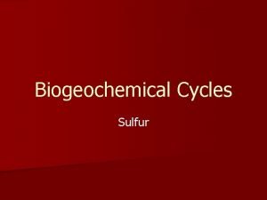 Biogeochemical Cycles Sulfur What is Sulfur n Sulfur