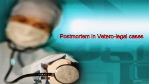 Veterolegal cases